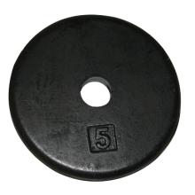Iron Disc Weight Plate - 5 lb
