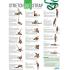 Stretch Out Strap with Stretching Exercise Poster