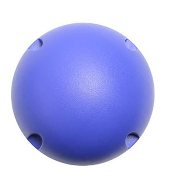 CanDo MVP Balance System - Blue Ball - Level 4 - ONLY