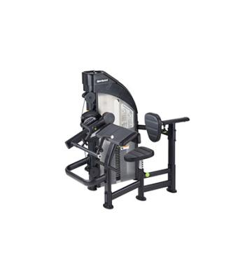 SportsArt DF-305 Performance Bicep Curl/Tricep Extension