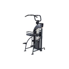 SportsArt DF-307/P711 Performance Dual Function Chin-Up/Tricep Dip