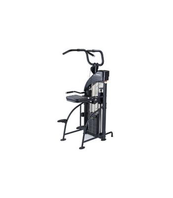SportsArt DF-307/P711 Performance Dual Function Chin-Up/Tricep Dip