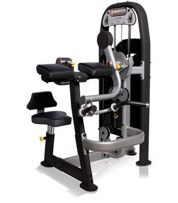 Batca Fitness Systems, Link Seated Bicep Curl/Tricep Extension