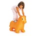 Togu Pediatric Inflatable Lion, 20" x 3"