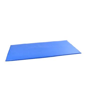 CanDo Exercise Mat - Non Folding - 1" PU Foam with Cover - 2' x 4' - Specify Color