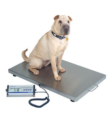 Detecto, Veterinary Scale, Digital, 330 lb, x .2 lb / 150 kg x .1kg, Wheels