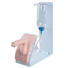 Catheterization simulator BASIC male