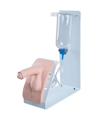 Catheterization simulator BASIC male