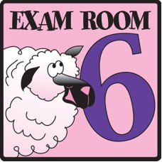 Clinton, Exam Room 6 Sign