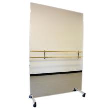 Glassless Mirror, Mobile Caster Base, Vertical, 24" W x 96" H