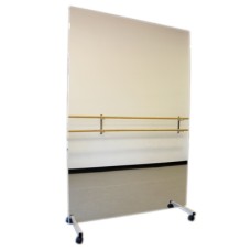 Glassless Mirror, Mobile Caster Base, Vertical, 48" W x 96" H