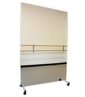 Glassless Mirror, Mobile Caster Base, Vertical, 48" W x 96" H