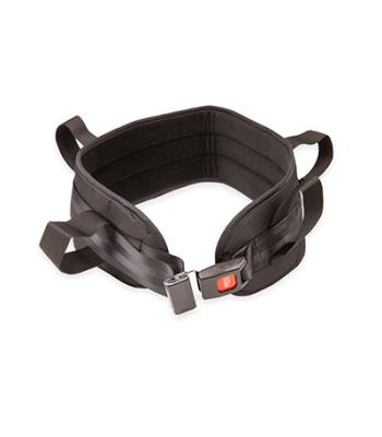Padded transfer belt, auto buckle, large, black