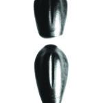 Pivotal Therapy Soft tissue system 5-piece set (neck standard and short thoracic occipivot lumbar pivot)