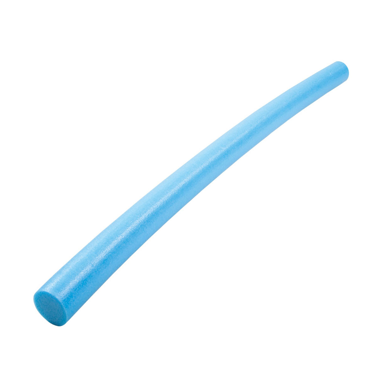 Water Noodle Blue Case of 10