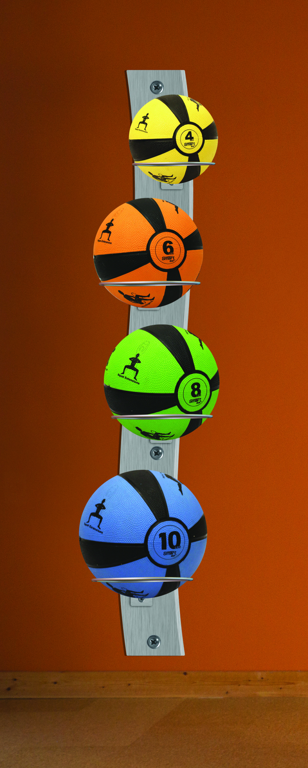 Smart Medicine Ball Wall Mounted Commercial Package