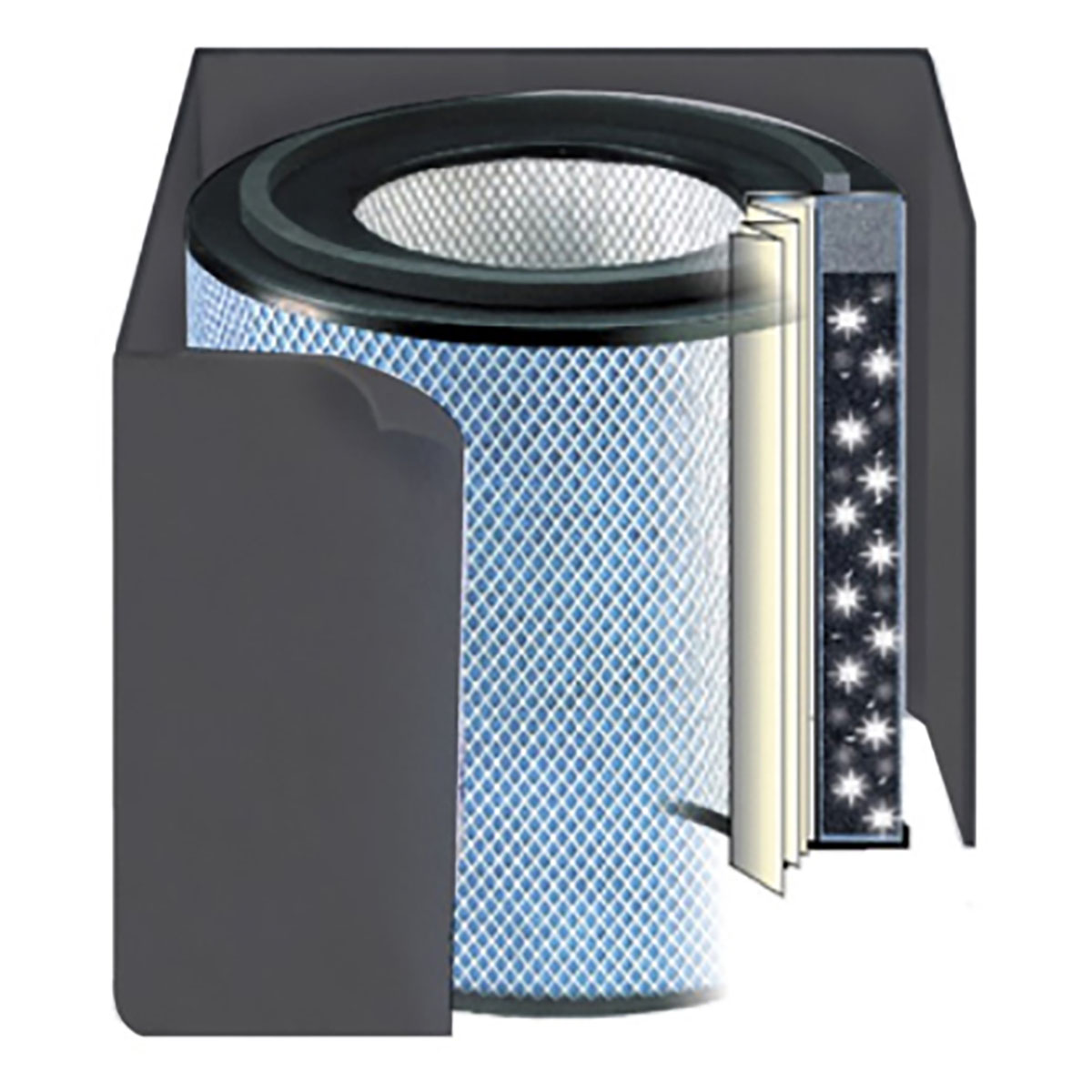 Austin Air Healthmate Plus Accessory - Black Replacement Filter Only