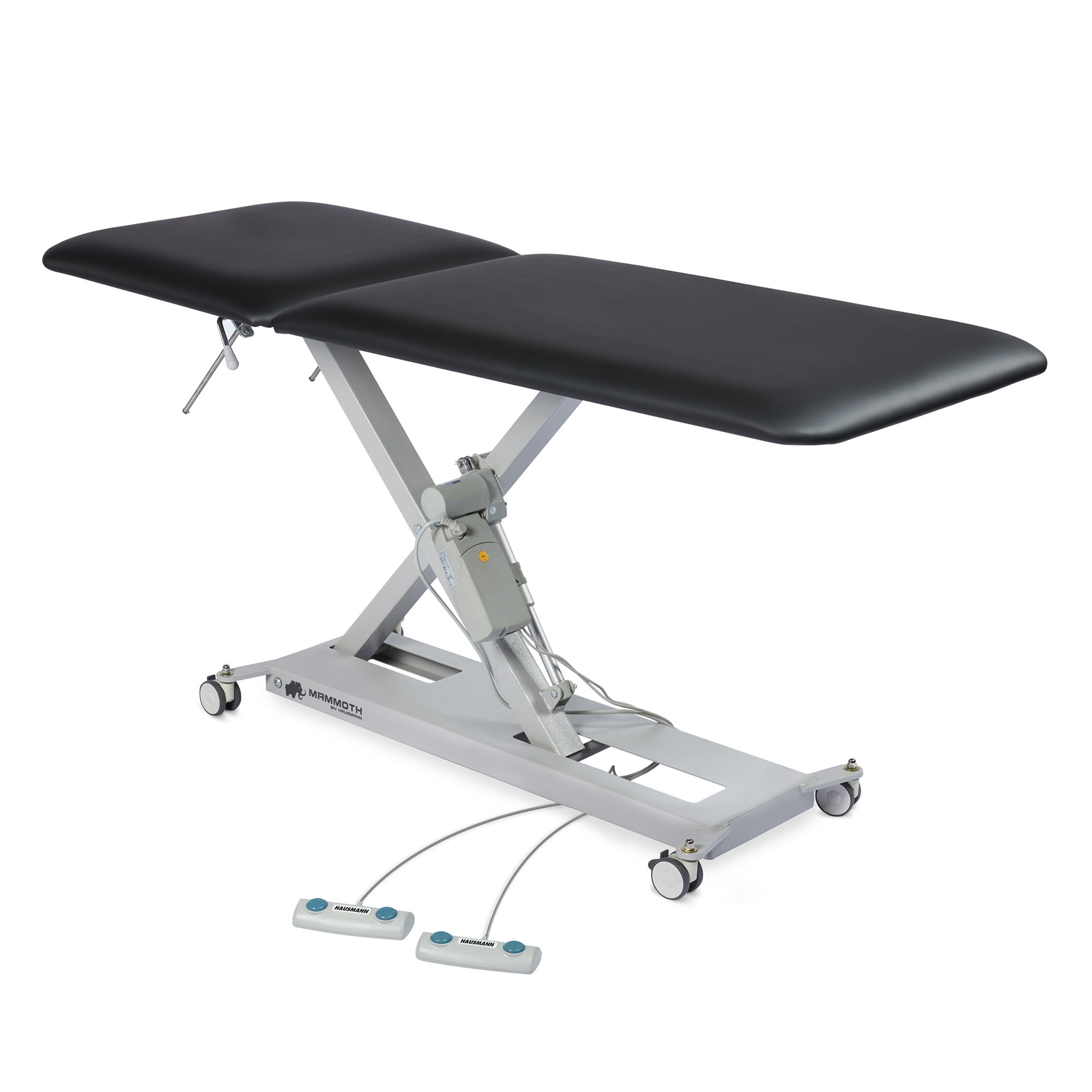 Mammoth 2: 2-Section Hi-Lo Examination Table with Standard Upholstery Dove Gray