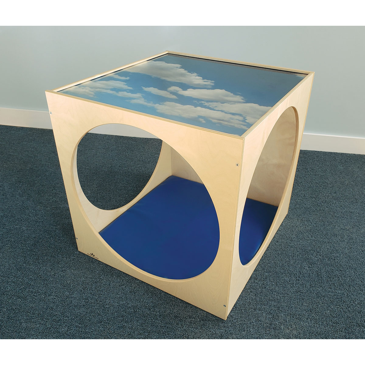 Acrylic Top Playhouse Cube With Floor Mat Set