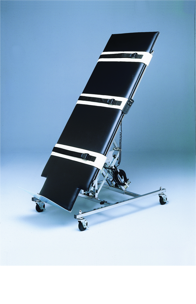 Electric Tilt Table 78L x 28W x 32H Black 220V Crated