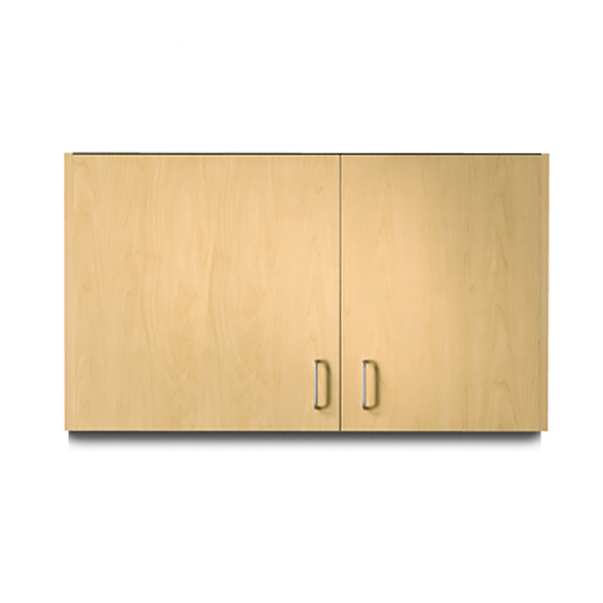 Clinton Wall Cabinet 2 Doors Wide Left 42 x 12 x 24