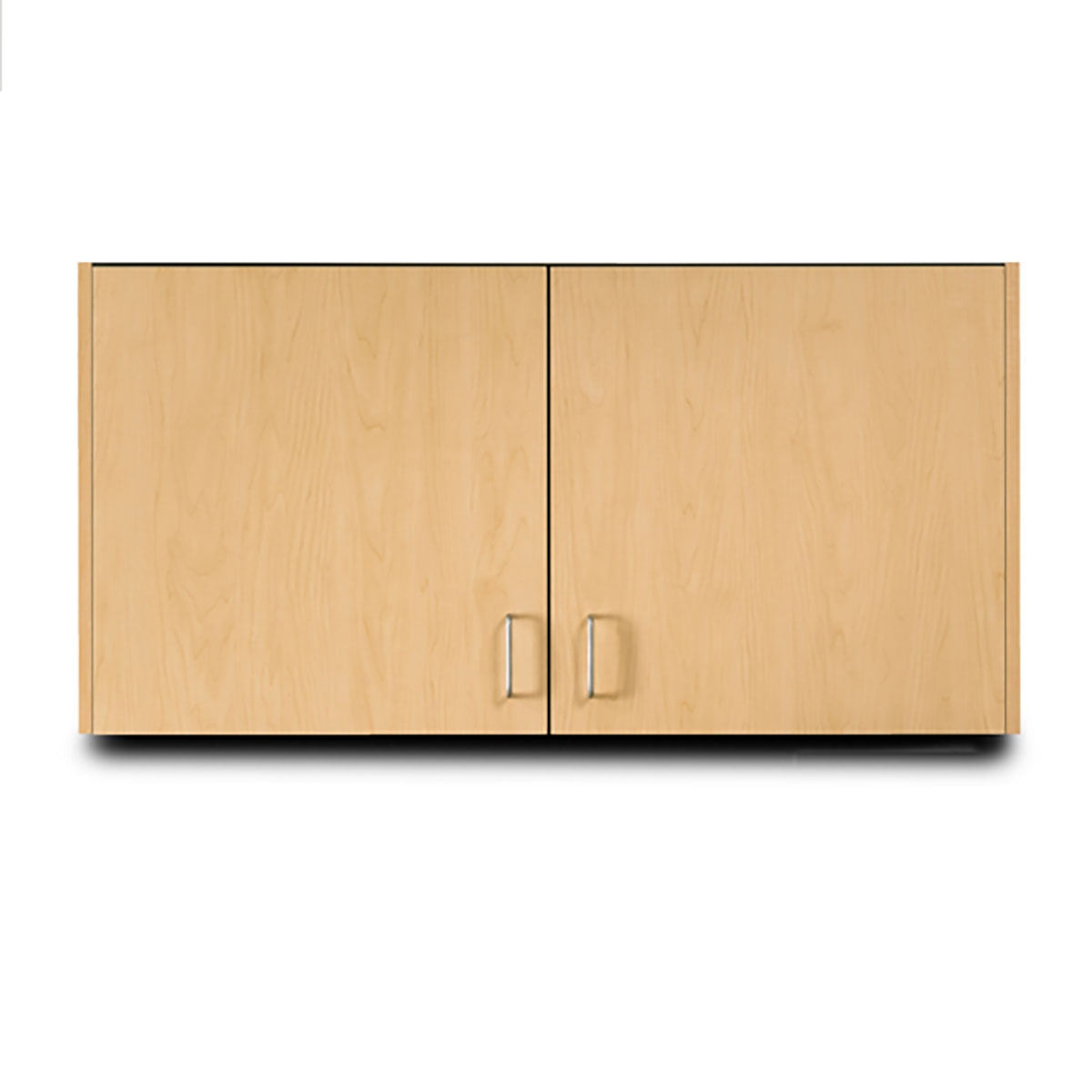 Clinton Wall Cabinet 2 Doors 48 x 12 x 24