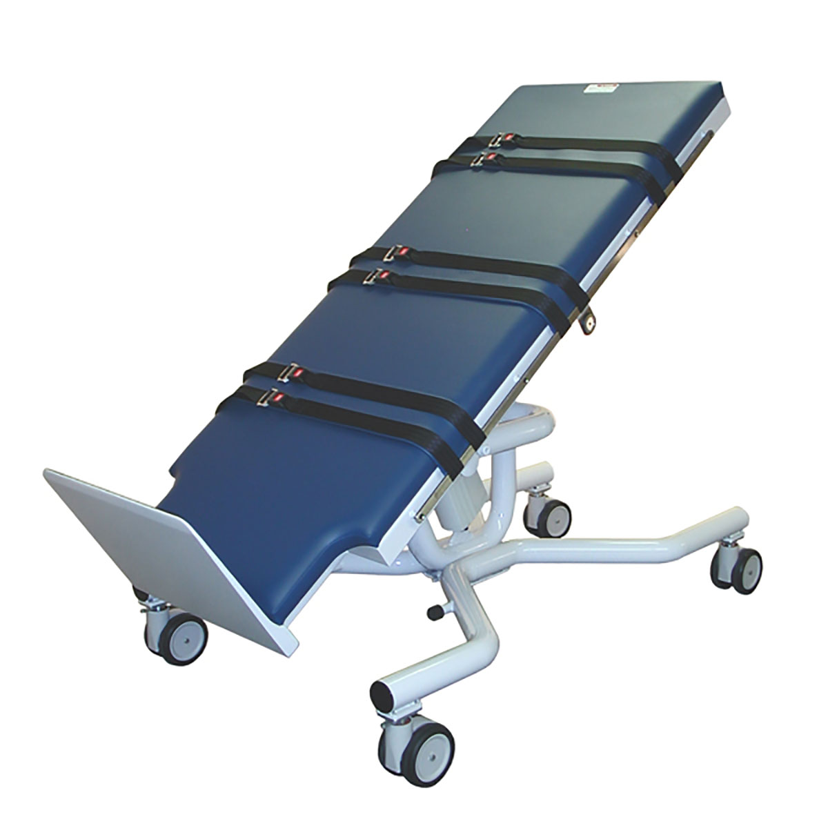 Tri W-G Tilt Table Motorized Bariatric 31 x 81 x 34 220V international crating extra