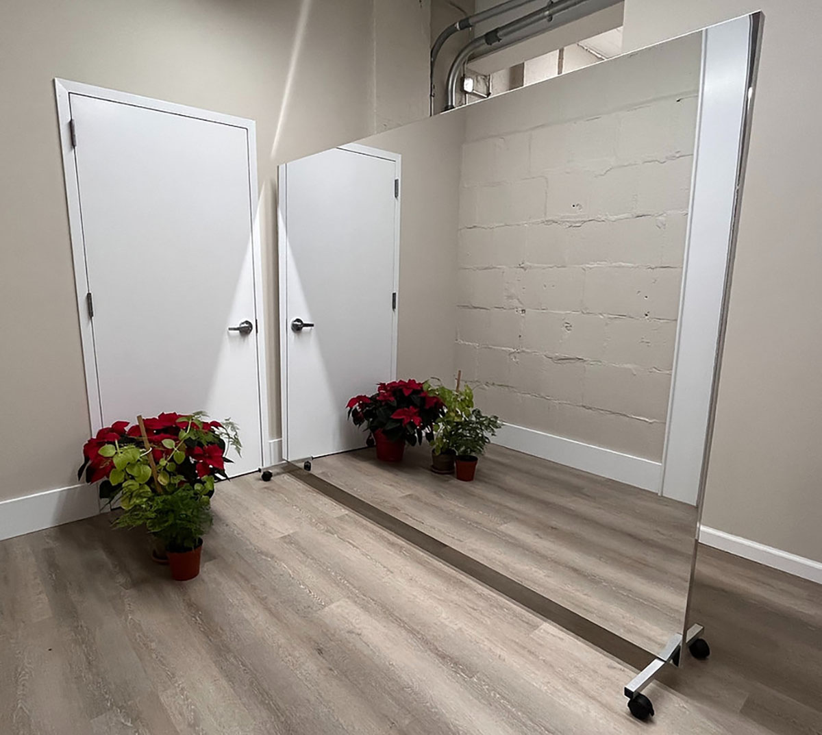 Glassless Mirror Rolling Stand and Corkboard Back Panel 24 W x 96 H