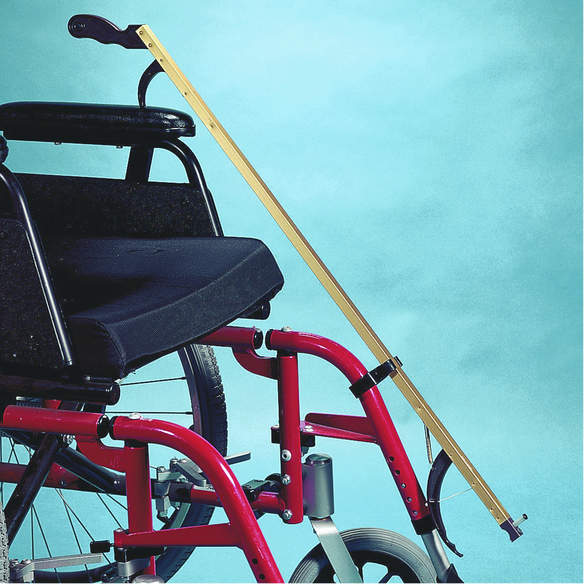 Walker Accessory Reacher clip