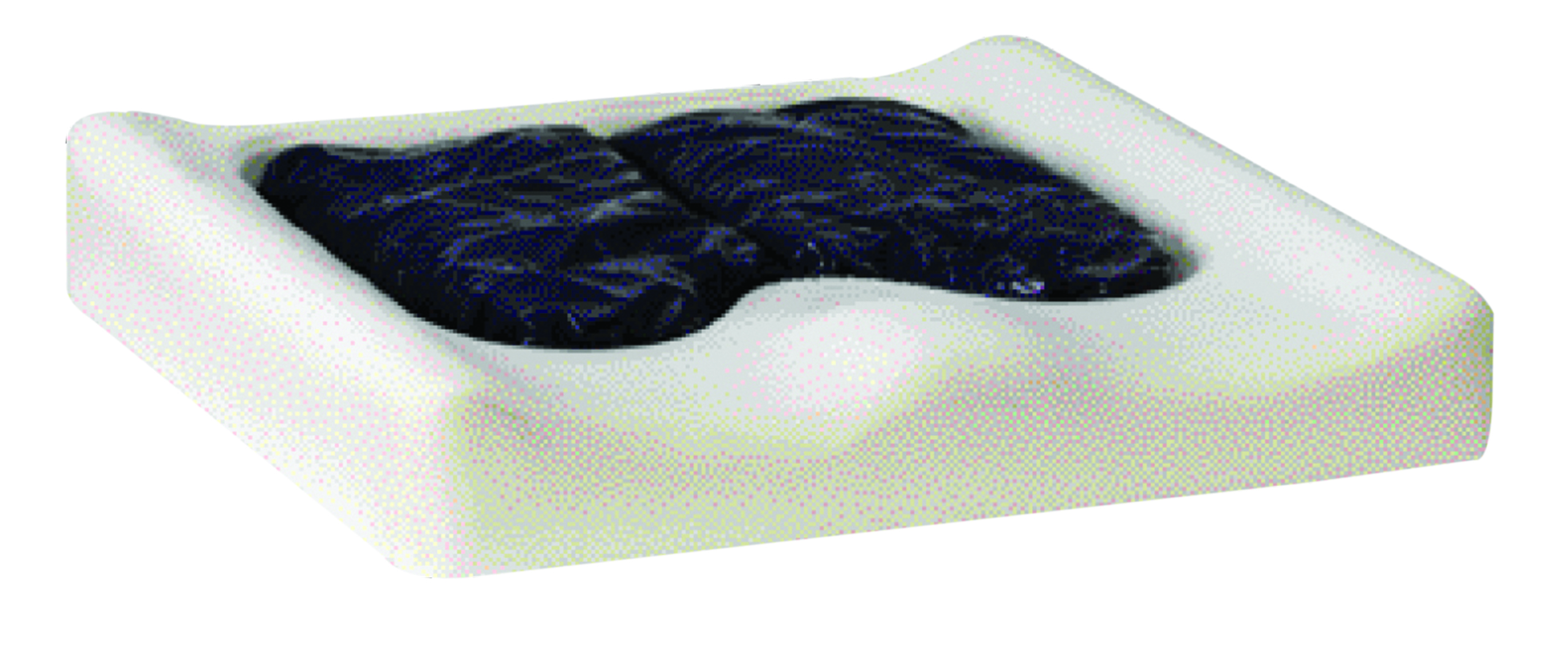 Amara 450 wheelchair cushion 20x18x3