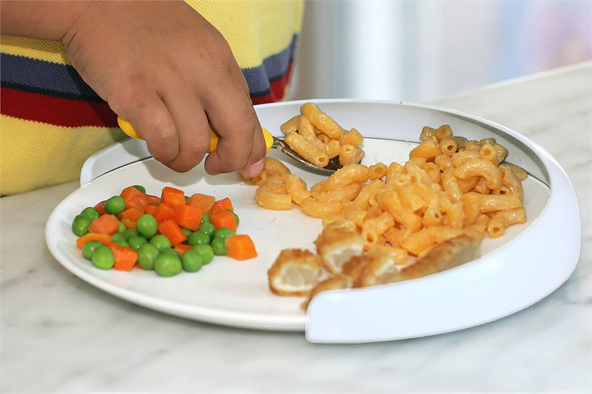 My Plate-Mate Food Guard Large Each