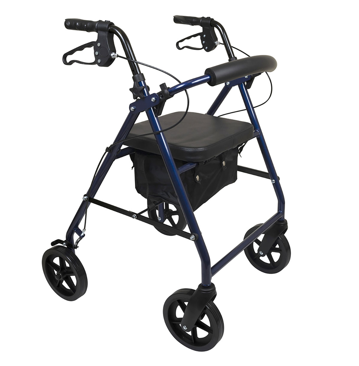 ProBasics Deluxe Aluminum Rollator with 8-inch Wheels Blue